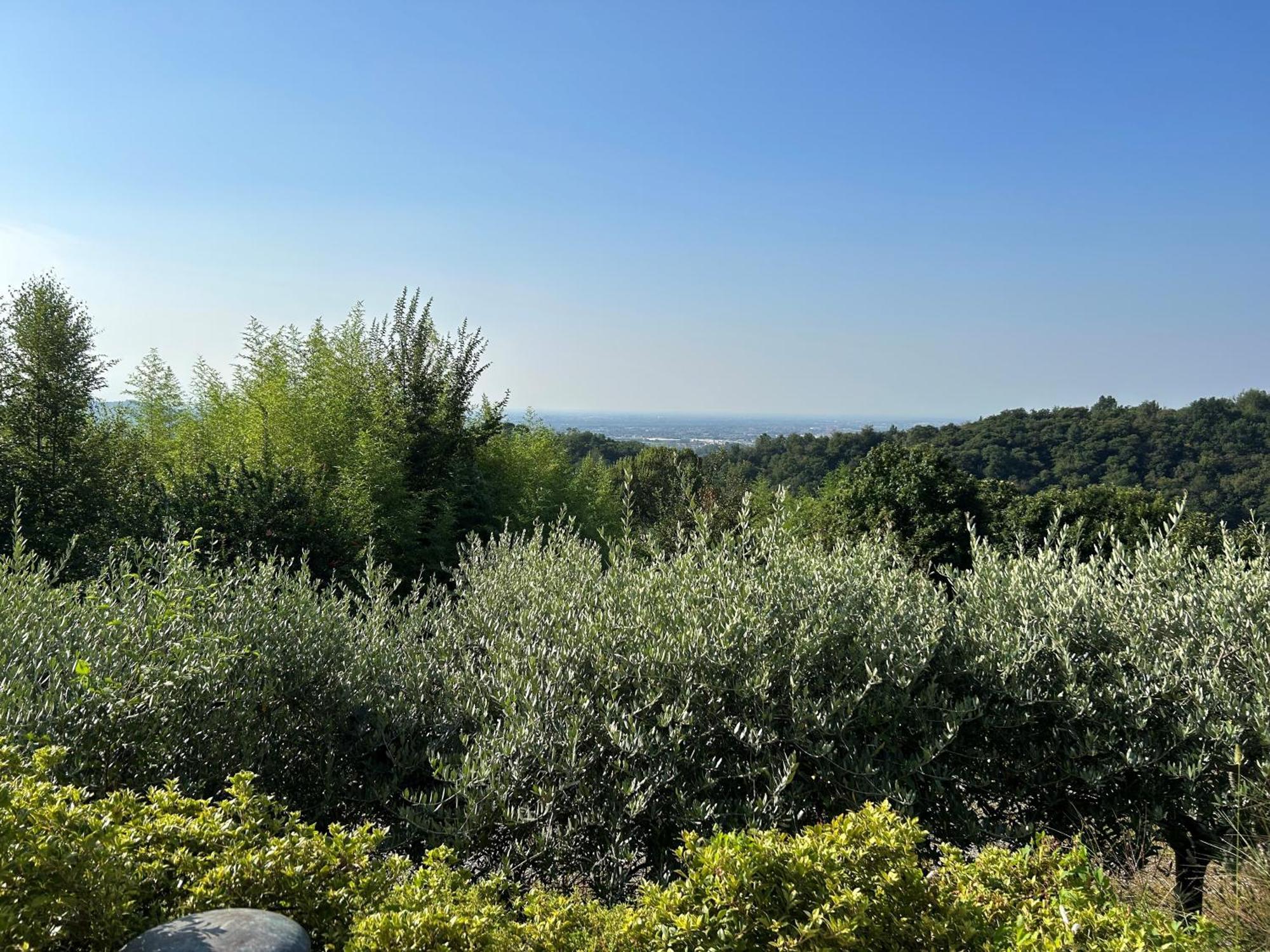 Agriturismo Al Robale Almenno San Bartolomeo Exterior foto